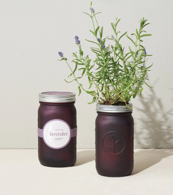 Modern Sprout Garden Jar - Lavender