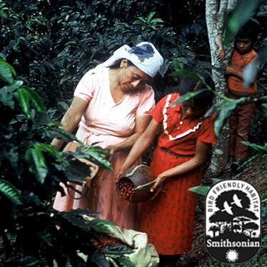 Dean's Beans Nicaraguan French Roast