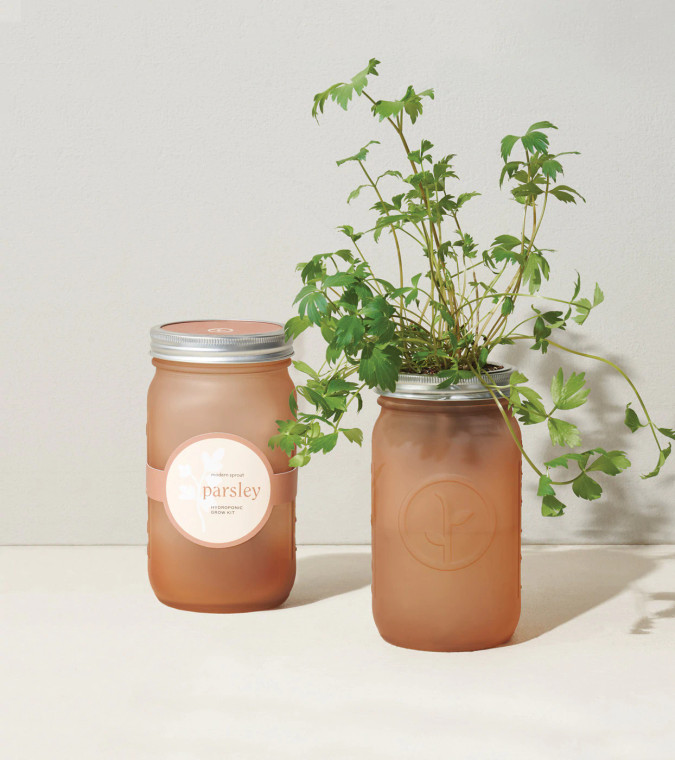 Modern Sprout Garden Jar - Parsley