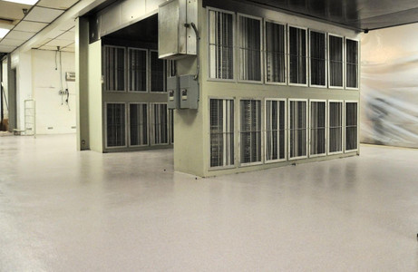 Bakery Floor Coatings: Ultimate Protection For High Traffic Areas