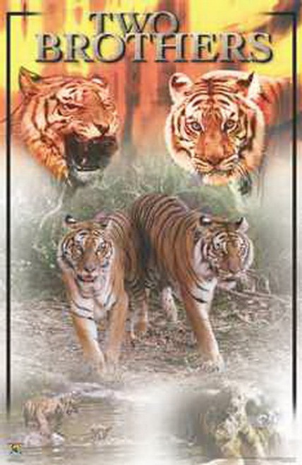 Two Brothers Tigers Poster 980
