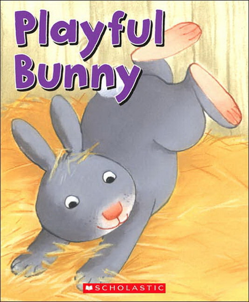 Playful Bunny Children Kids Hardcover Book - (Kimberly Zarins)