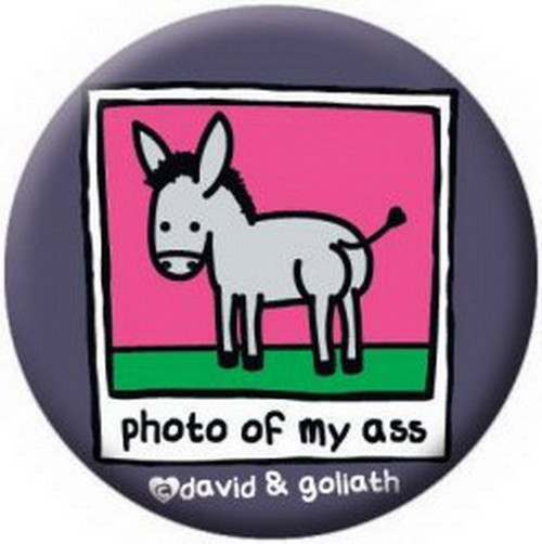 David and Goliath Donkey Photo Button 81604