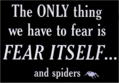 The Only Thing To Fear Is Itself and Spiders Magnet SM4035