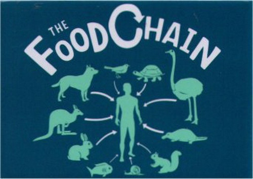 The Food Chain Magnet SM4084