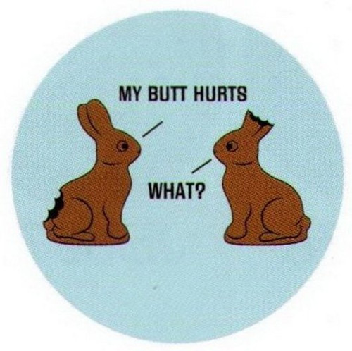 Chocolate Bunny Bites Hurt Button SB3963