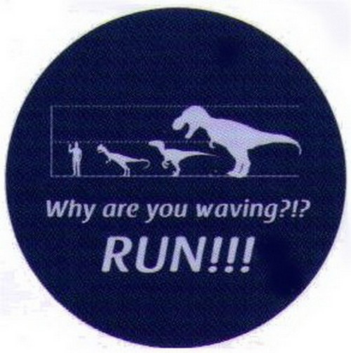 Why Are You Waving Run Dinosaur Button SB4570