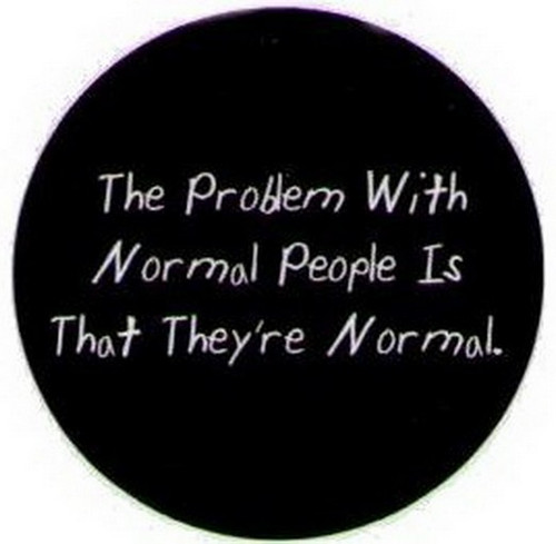 The Problem With Normal People Button DB3224