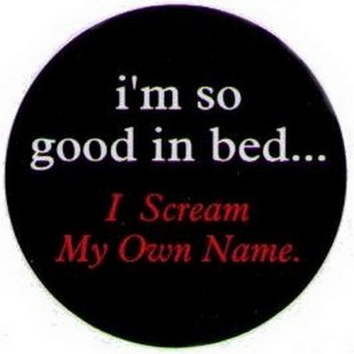 I'm So Good In Bed I Scream My Own Name Button DB3189