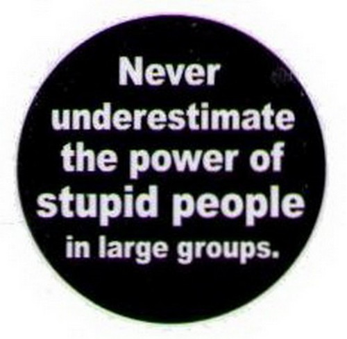 Never Underestimate Stupid People Button HB288