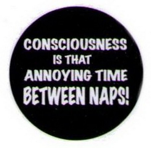 Consciousness Thing Between Naps Button HB293