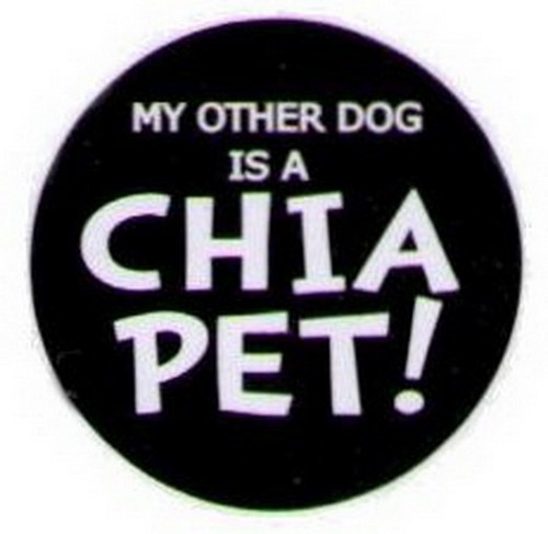 My Other Dog Is A Chia Pet Button HB312