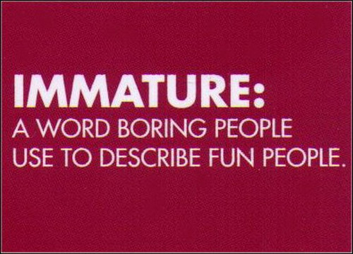 Immature Word To Describe Fun People Magnet RM4776