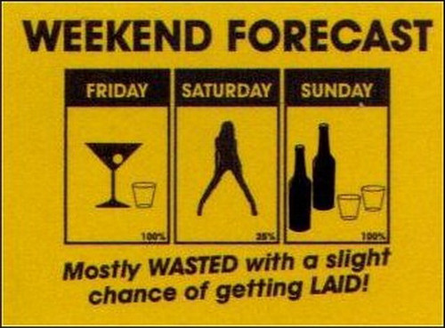 Weekend Forecast Mostly Wasted Magnet RM2809
