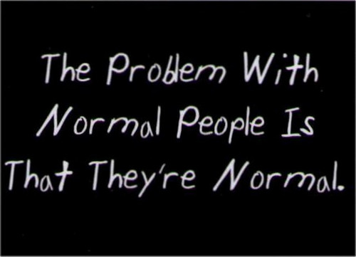 The Problem With Normal People Magnet DM2169