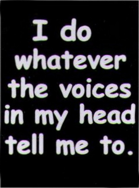 I Do Whatever The Voices In My Head Tell Me To Magnet HM245