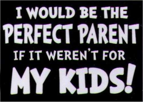 I Would Be The Perfect Parent If It Weren't For My Kids Magnet HM263