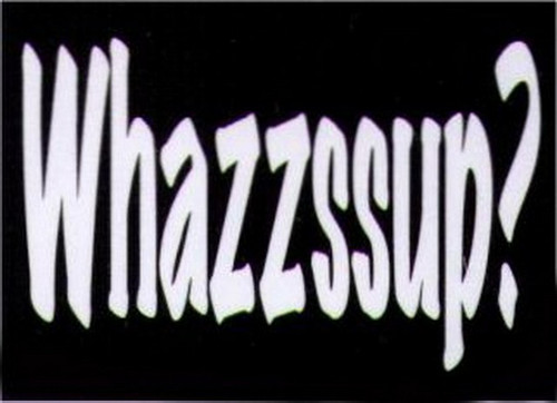 Whazzssup Humor Magnet HM281