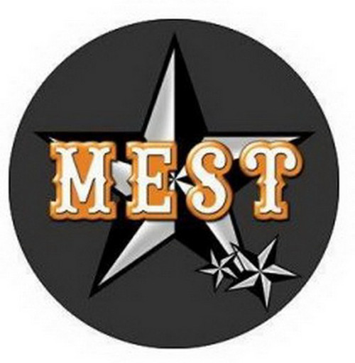 Mest Star Logo 1-inch Button