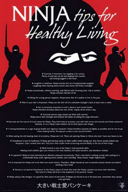 Ninjas Guide Poster 24498