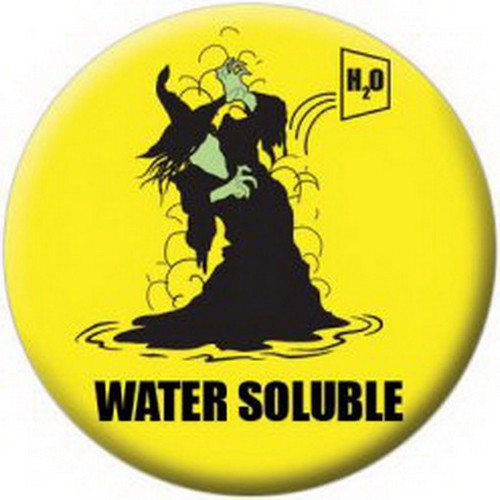 Water Soluble Witch Button 81673