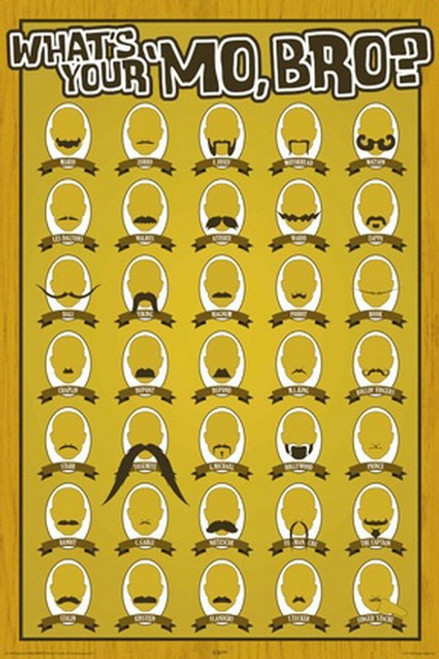 What's Your Mo' Bro Poster 241059