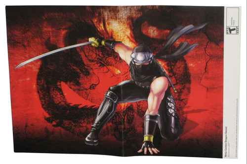 Nintendo Power Ninja Gaiden Dragon Sword & Apollo Justice Ace Attorney Double Sided Poster