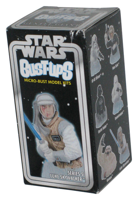 Star Wars Luke Skywalker (2005) Gentle Giant Series 5 Bust-Ups Micro-Bust Mini Model Kit