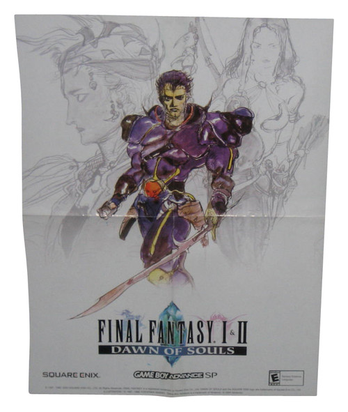 Final Fantasy I & II Dawn of Souls Nintendo Gameboy Advance SP Giant Video Game Poster