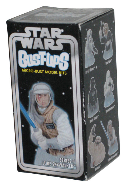 Star Wars Luke Skywalker (2005) Gentle Giant Series 5 Bust-Ups Micro Bust Mini Model Kit