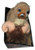 Star Wars Galactic Plushies 12 inch Tusken Raider & Bantha (2016) Funko Plush