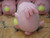 Pokemon Sun & Moon Chansey Banpresto Japan 12-Inch Plush Toy