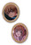 Tsubasa Syaoran & Sakura Movie Anime Pin Set GE-7476