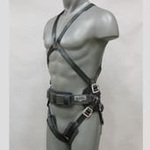 Cartwheel Flying Harness