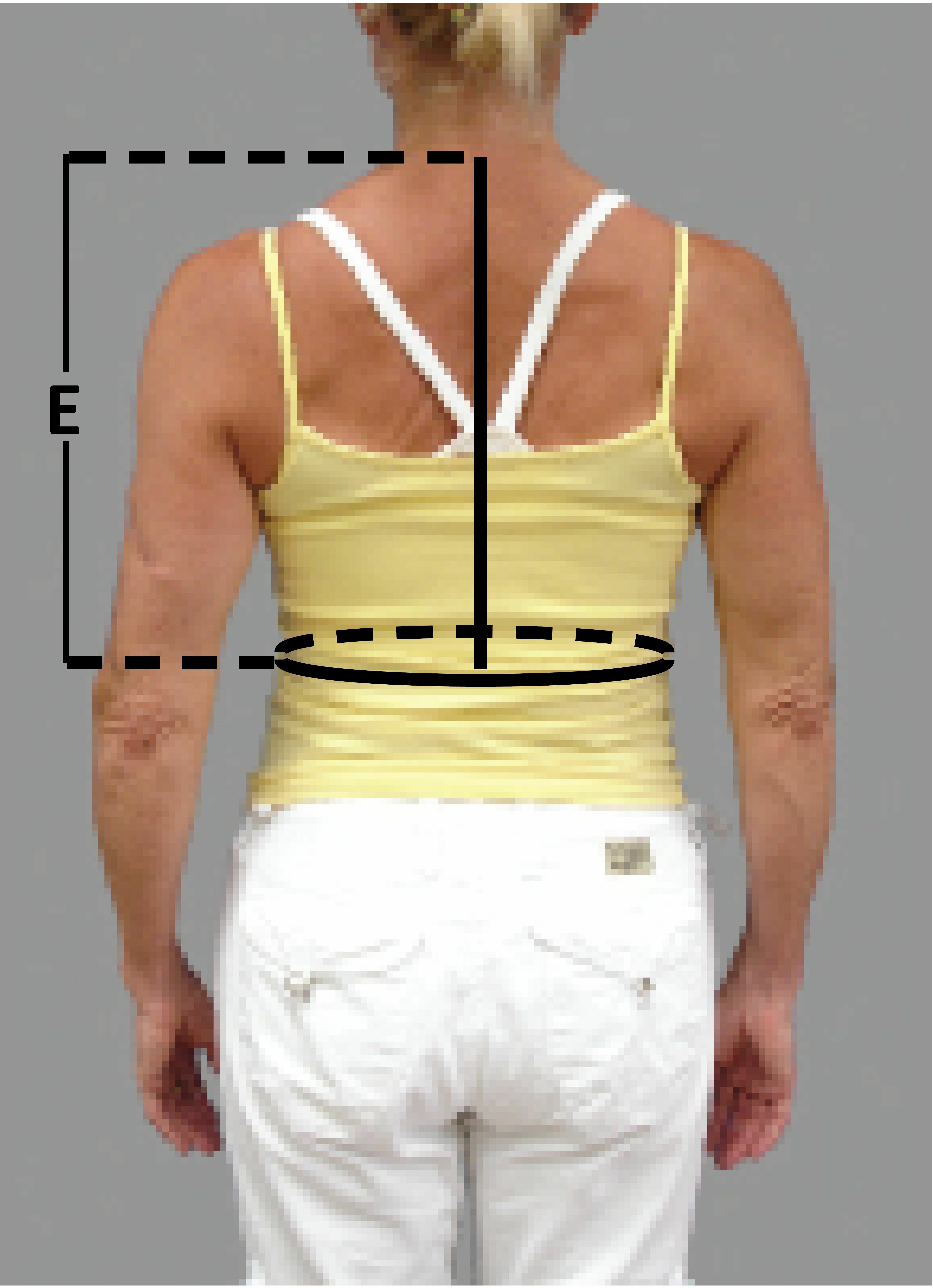 Quad Release Belt - Climbing Sutra