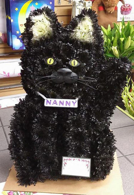 The Floral Cat-FNCAT-01 