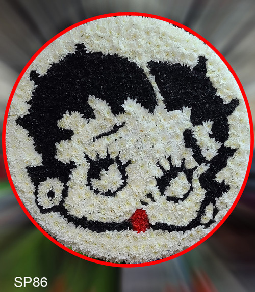 Betty Boop
