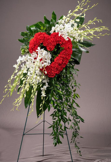 BLEEDING HOLLOW HEART