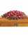 Rosie Pinks Casket Spray-FNRP-01