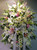 Pink and White Standing Spray-FNPWS-02 