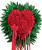 Deluxe Bleeding Heart-FNBLD-01 