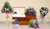 Vibrant Colors Set 2- VIBS002