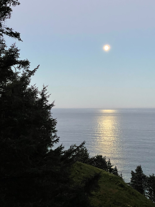original photography of a bright moon against a pale blue sky, shining on the pacific ocean, with framing by pine trees