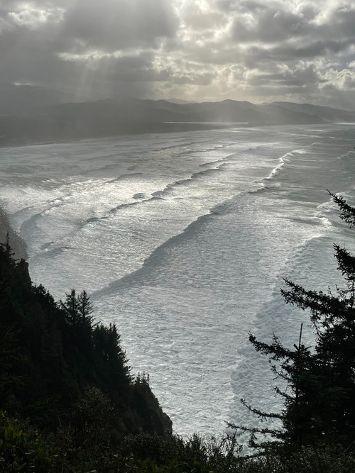 original photo of soft sunrise on huge ocean tides, with mountains on the background horizon and pine trees silhouetted in the foreground.