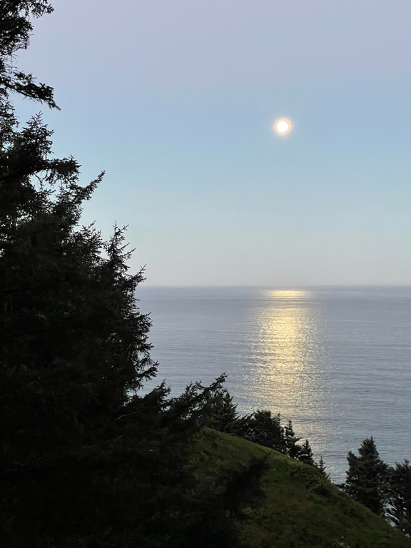 original photography of a bright moon against a pale blue sky, shining on the pacific ocean, with framing by pine trees