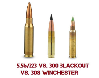 300 Blackout vs. 5.56/.223 vs. 308 Win - 80% Lowers