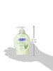 Softsoap Moisturizing Liquid Hand Soap, Soothing Aloe Vera 7.5 oz by Softsoap (Pack of 2)