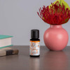 Ellia Orange Diffuser Essential Oil | 15ml, 100% Pure, Therapeutic Grade