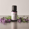 Ellia Lavender Diffuser Essential Oil | 15ml, 100% Pure, Therapeutic Grade
