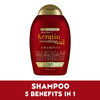 Frizz-Free + Keratin Smoothing Oil Shampoo, 5 in 1, for Frizzy Hair, Shiny Hair